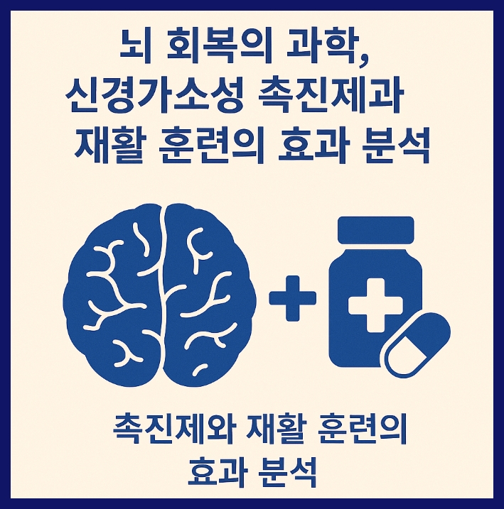뇌 회복의 과학 신경가소성 촉진제와 재활 훈련