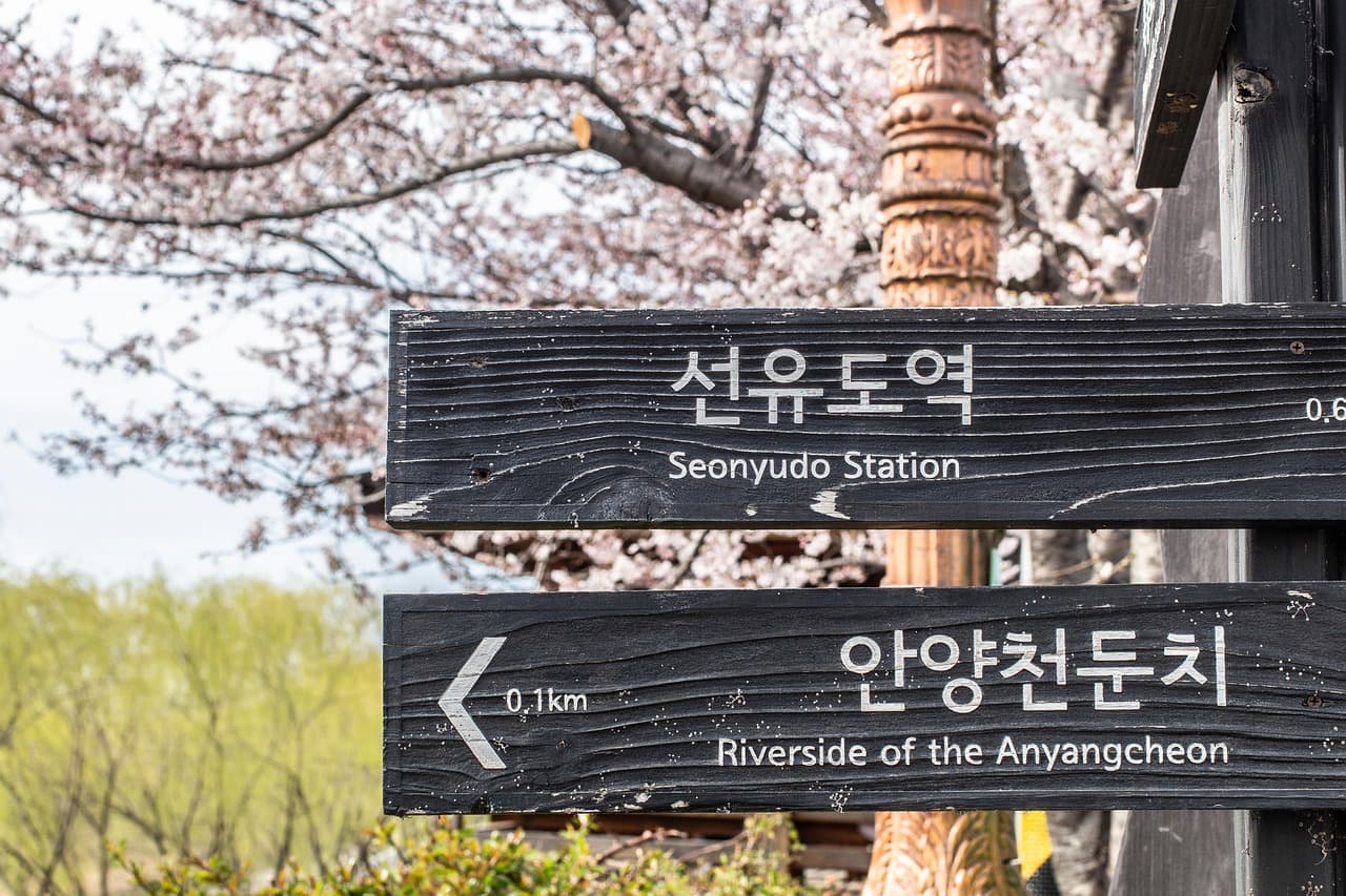 한국어 읽기 전략: 신문&middot;논문&middot;고전 글 읽는 법 &amp; 단계별 접근