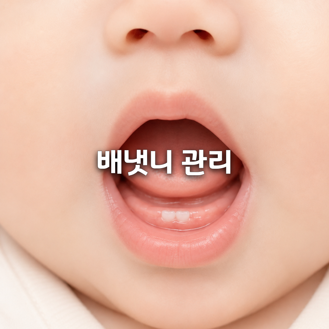 🦷 신생아 배냇니, 뽑아야 할까 부모가 꼭 알아야 할 대처법