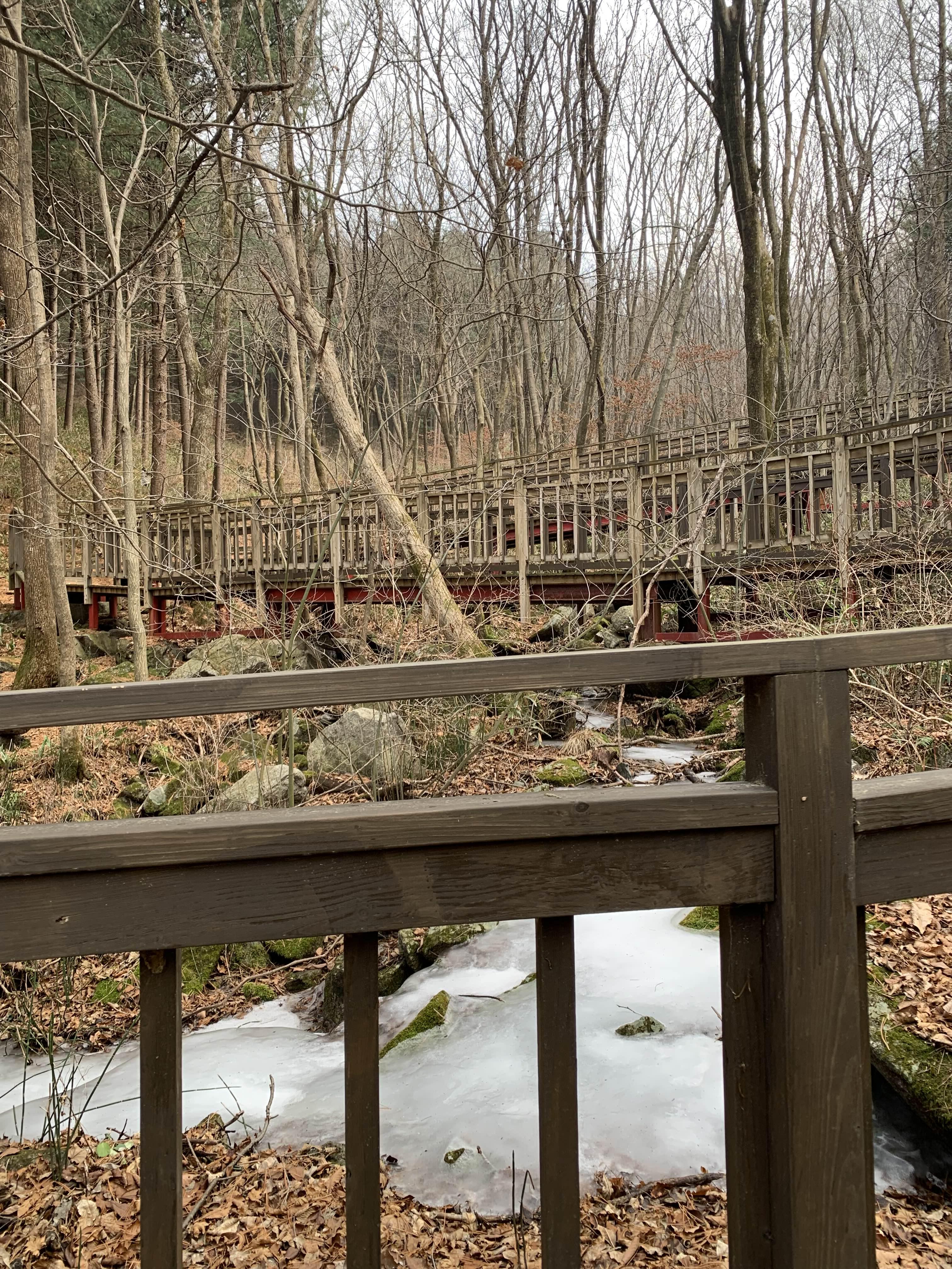 횡성 여행 청태산 자연휴양림