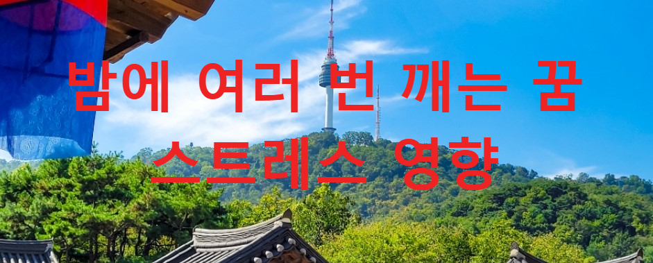꿈과건강