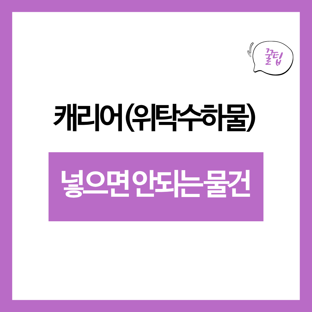 수하물(캐리어)에 절대 넣으면 안 되는 물건 12가지｜분실&middot;파손&middot;압수 리스크 줄이기
