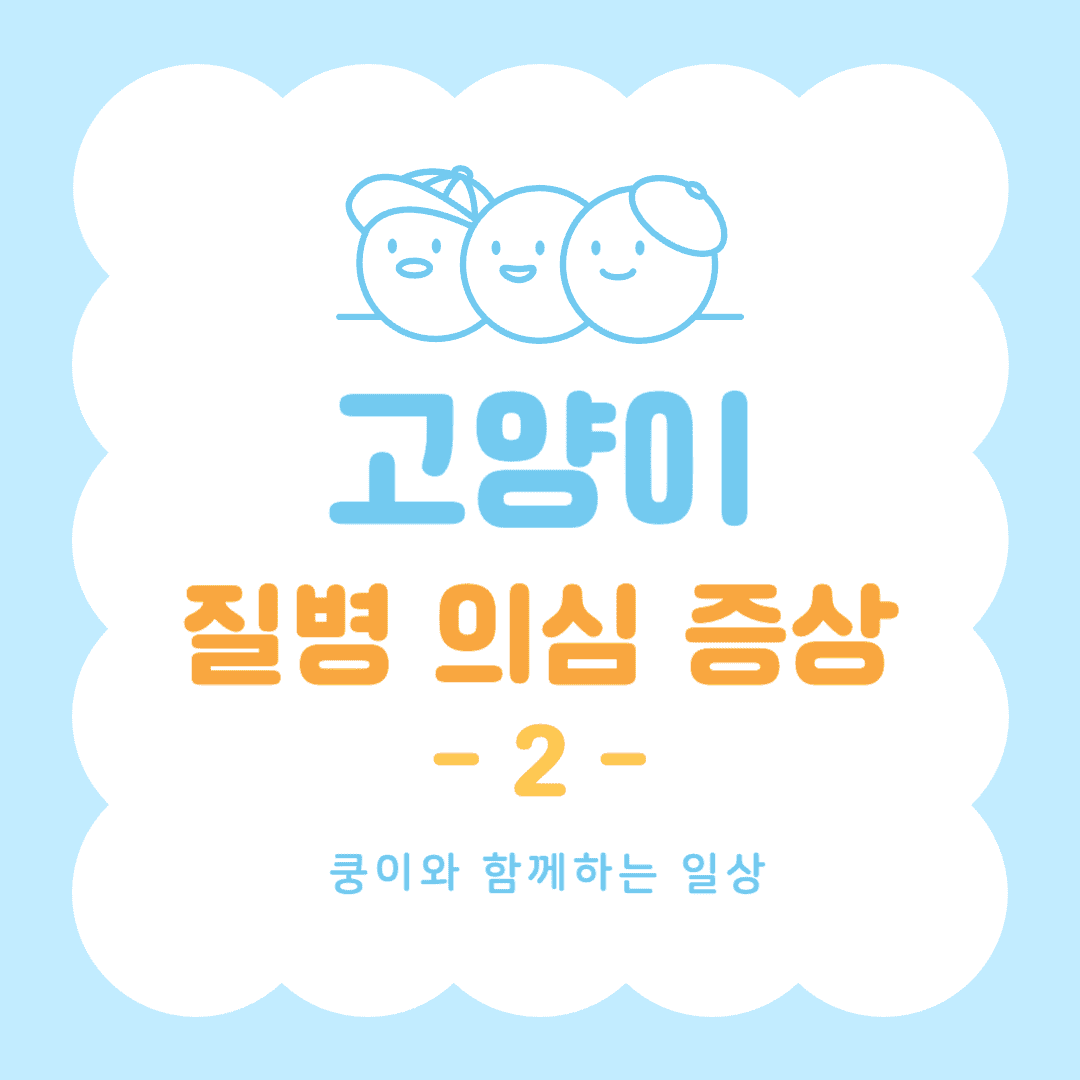고양이 질병 의심 증상