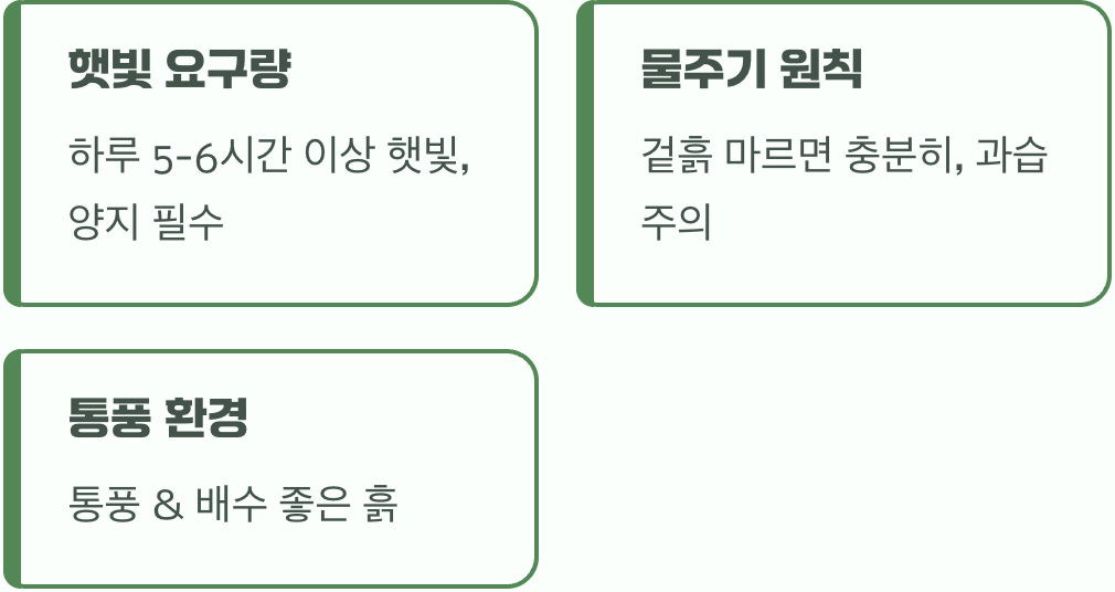 딜이 좋아하는 명당자리