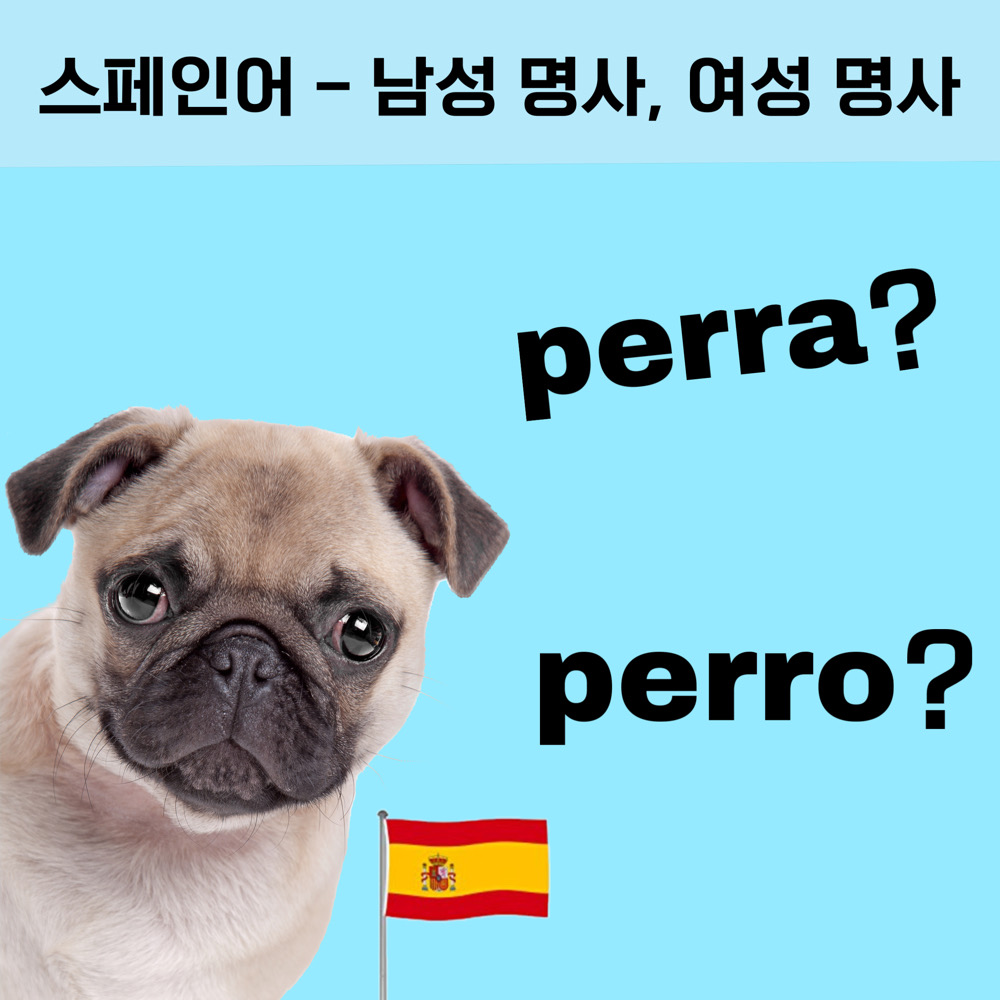 espa&ntilde;ol