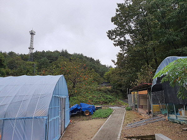 삼척 여행 사진