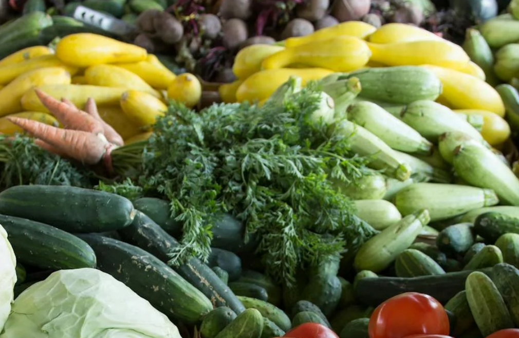 코스트코 추천상품