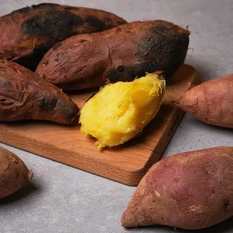 고구마 심는시기 키우는 법_8