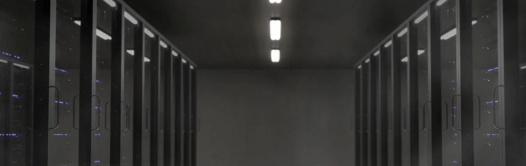 카카오 채용 중단