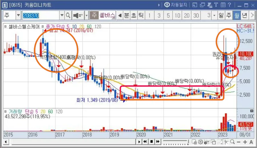 셀바스헬스케어-월봉