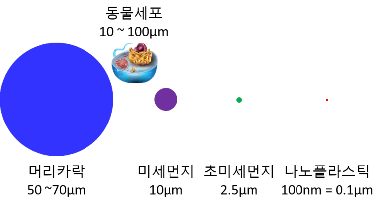 나노 플라스틱의 크기 비교