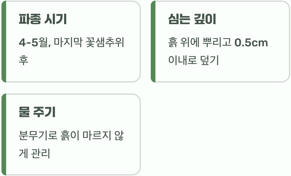 씨앗을 위한 따뜻한 보금자리