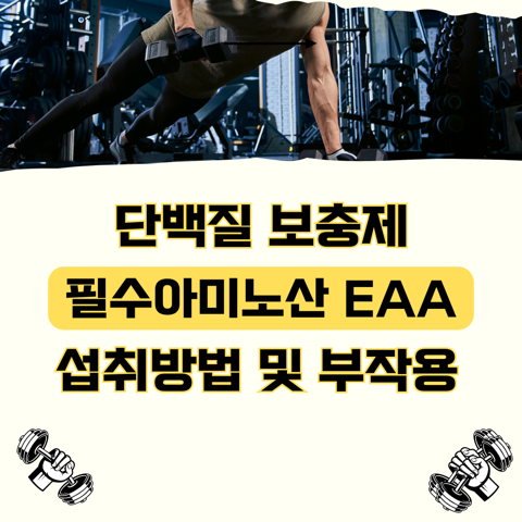 썸네일 이미지 입니다.