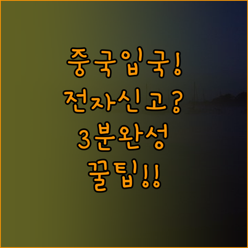 중국 입국 전자 신고서 온라인 작성 ..