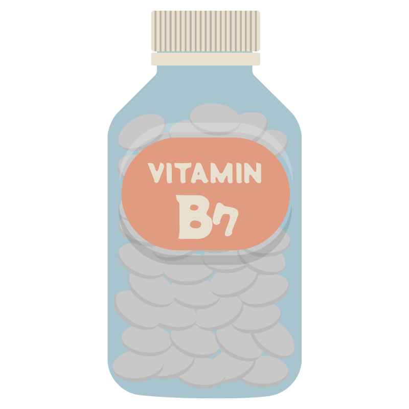 비타민 B 일러스트