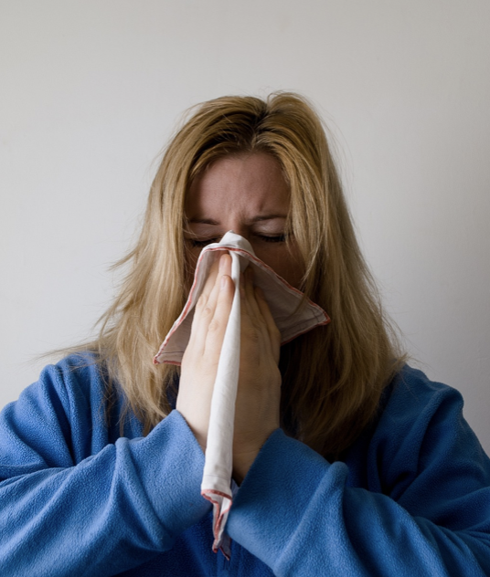 면역 과민반응, 알레르기