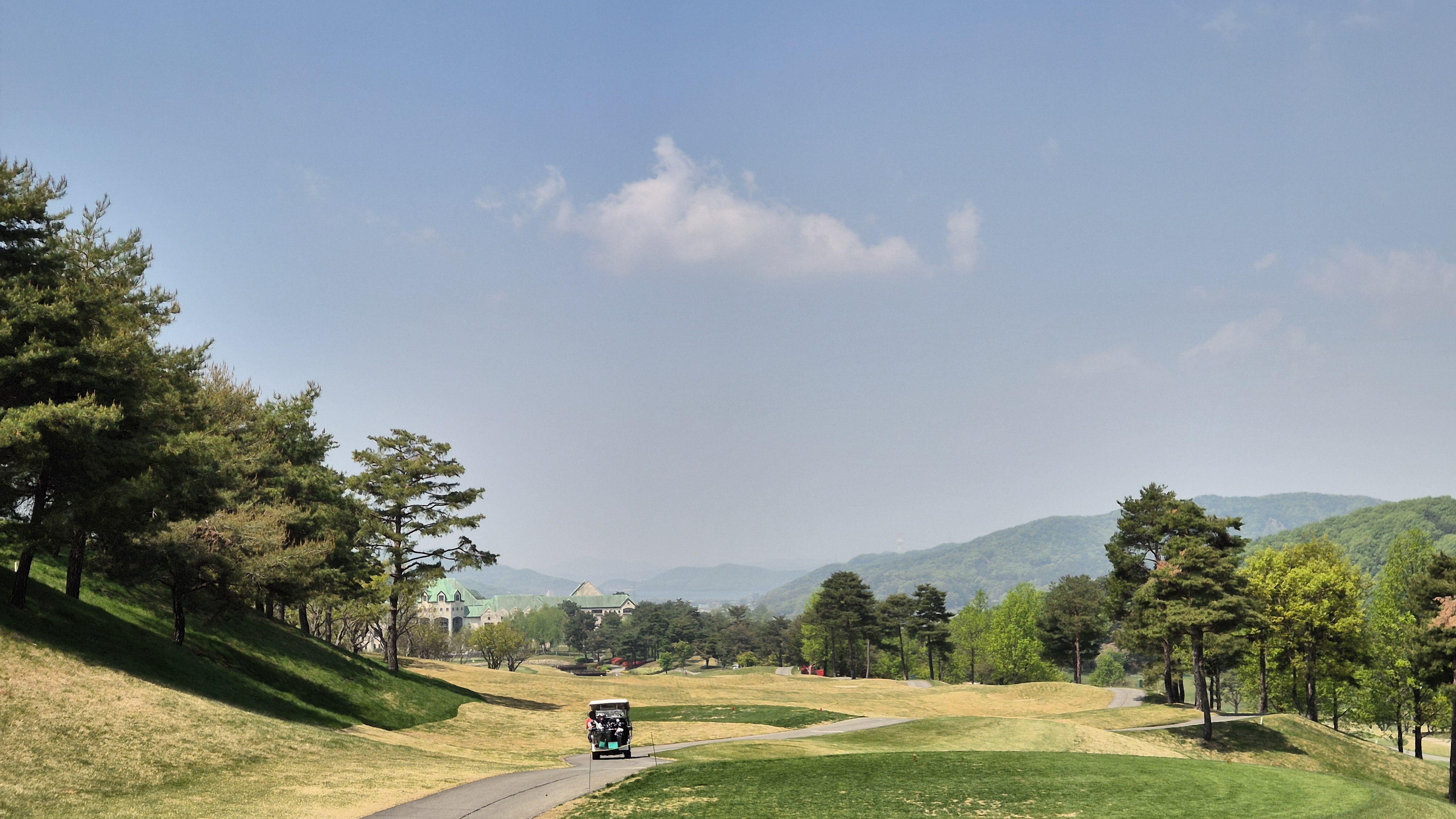 마에스트로cc 코스