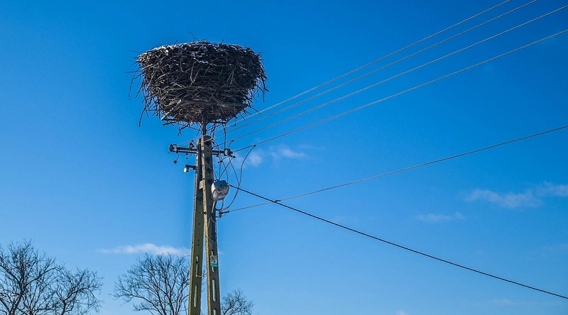 전선 검사법의 필요성