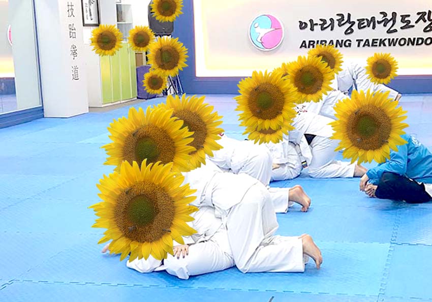 해바라기 꽃보다 태권도