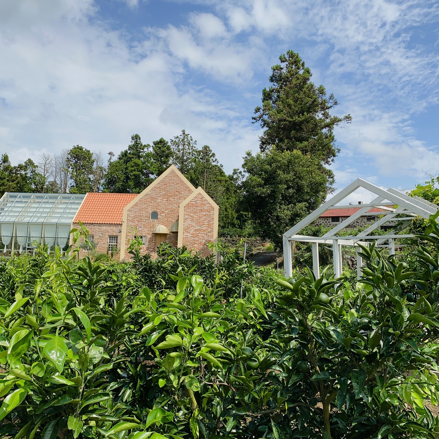 제주 조천 동백동산 자드부팡(jas de bouffan) 카페 리뷰 추천 주차 후기 솔직후기