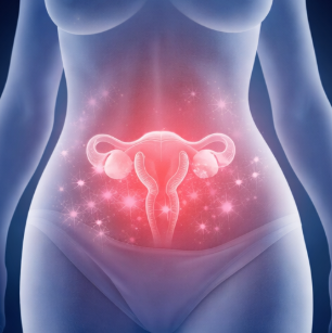 2026 헬스케어 질유산균 산업분석