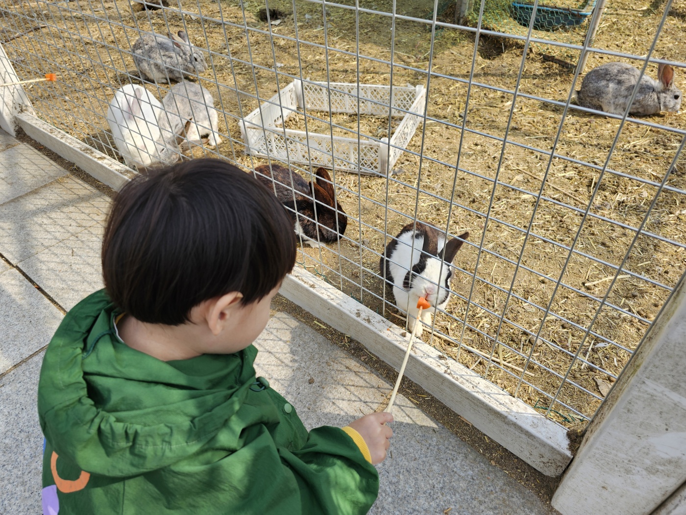 29개월 아이와 함께