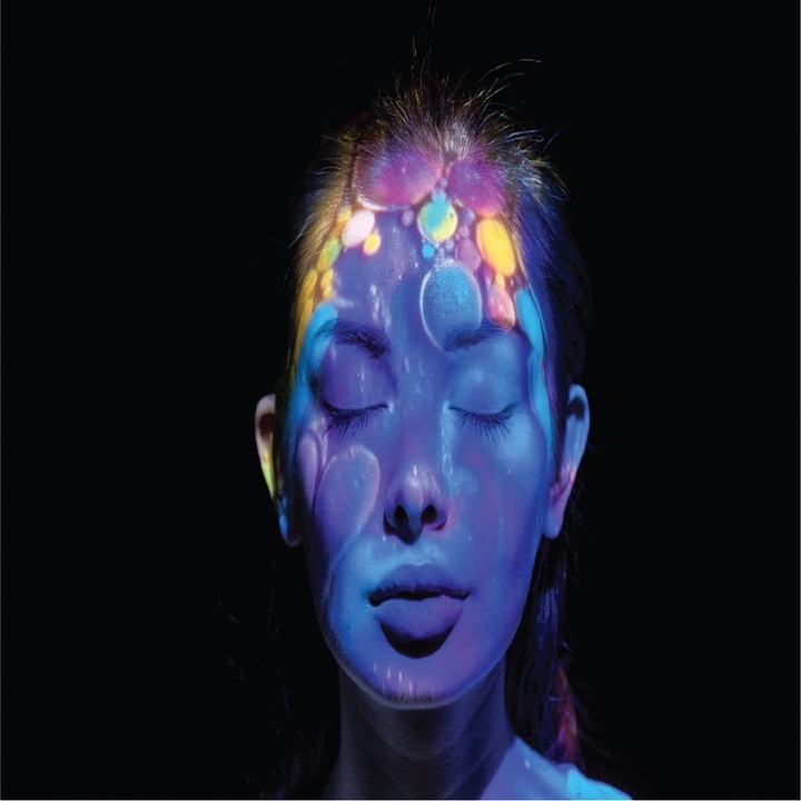 연예인 꿈해몽 모음