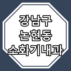 서울시 강남구 논현동 소화기 내과 진료 하는 동네 병원