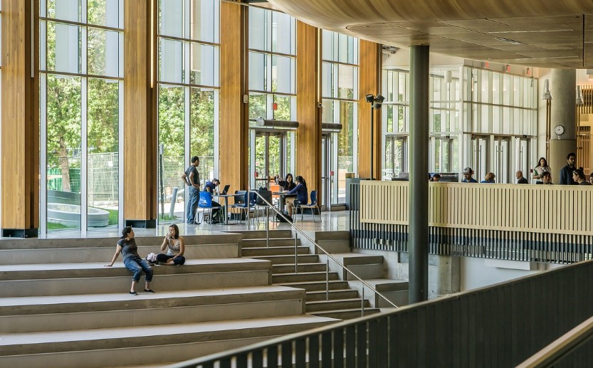 아이비리그 대학