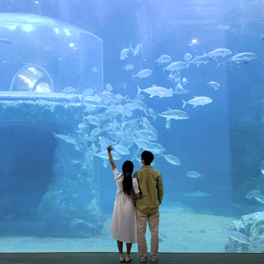 아쿠아플라넷-여수-가볼만한곳-추천