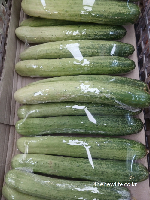 belly-fat-solution-cucumber.jpg
