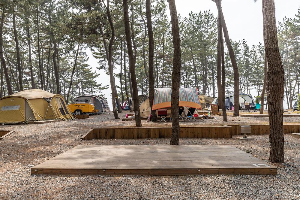 충남 서천 장항오토캠핑장 소개