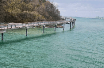 충남 당진 봄 여행지 한진포구