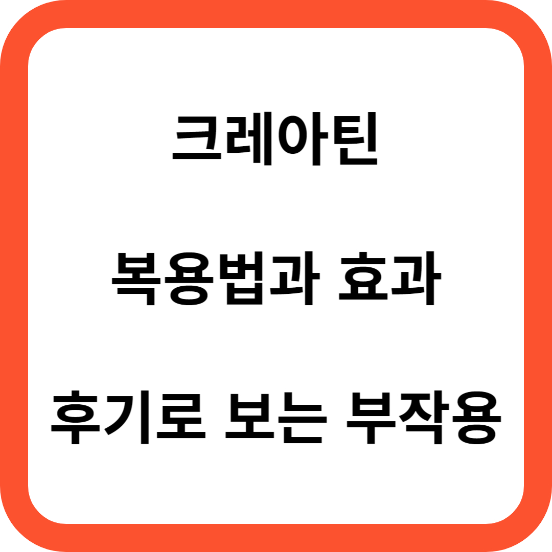 크레아틴 복용법과 효과에 따른 부작용 후기