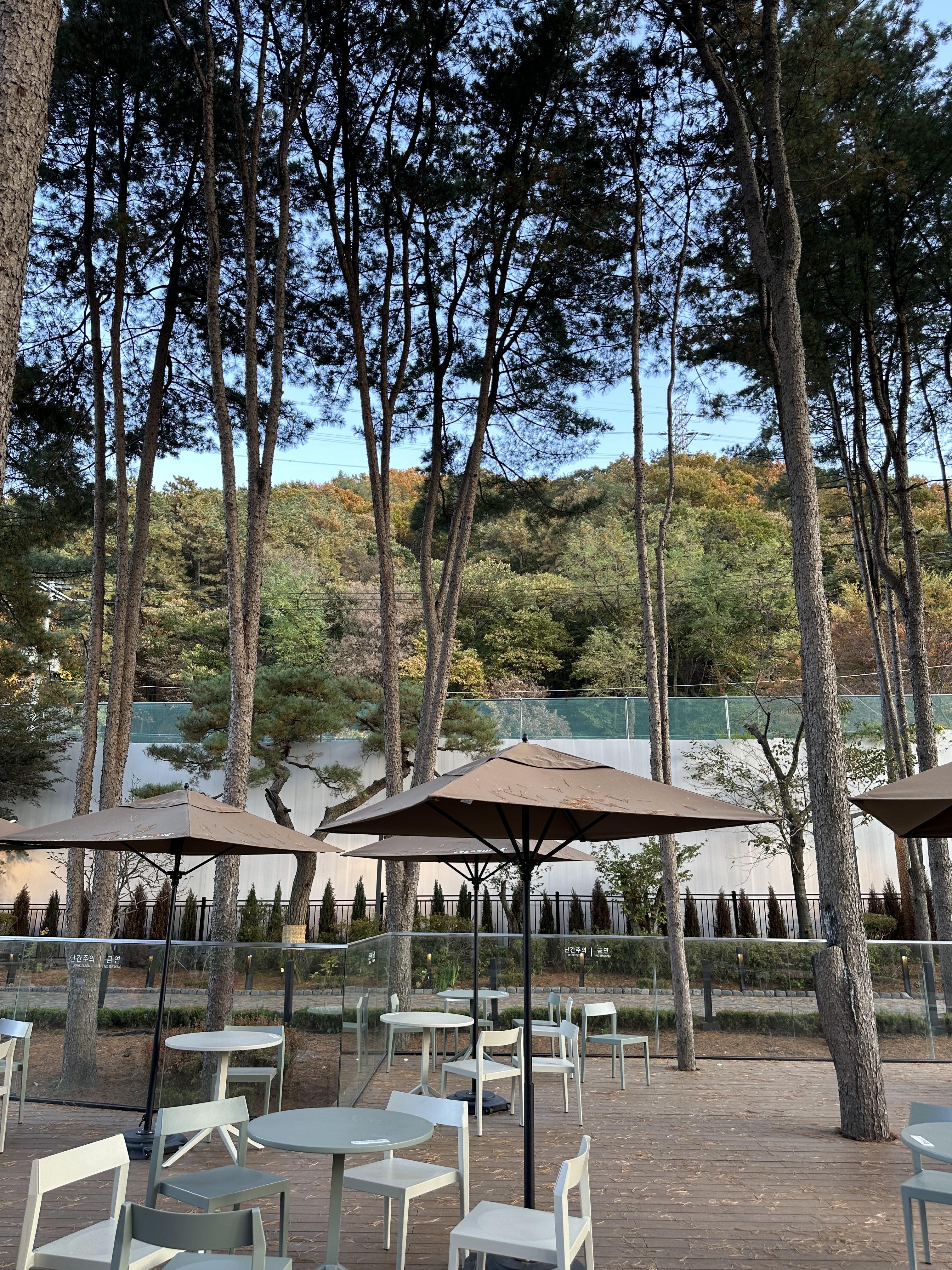 고기리 스타벅스 야외 2 