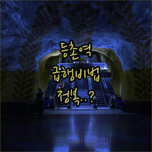 등촌역 9호선 배차 간격 및 급행 열..