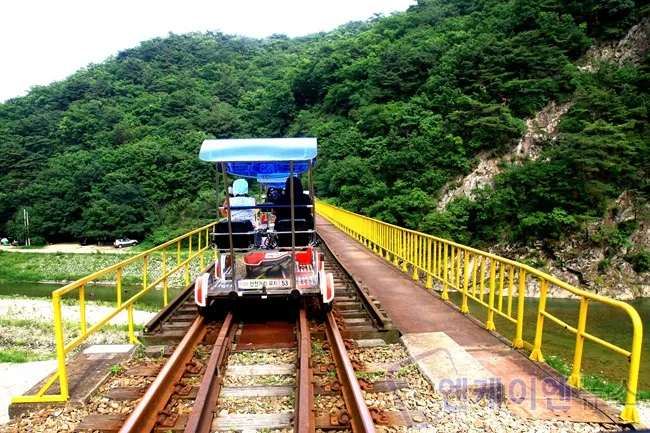 원주 레일바이크 예약 원주 레일바이크 이용안내 완벽 가이드_5