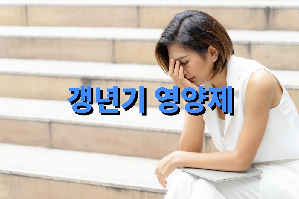 갱년기 영양제 효과 효능에 도움 프로바이오틱스