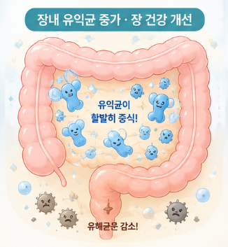 난소화성말토덱스트린-당뇨-효과-먹는법-성분-권장량-임산부