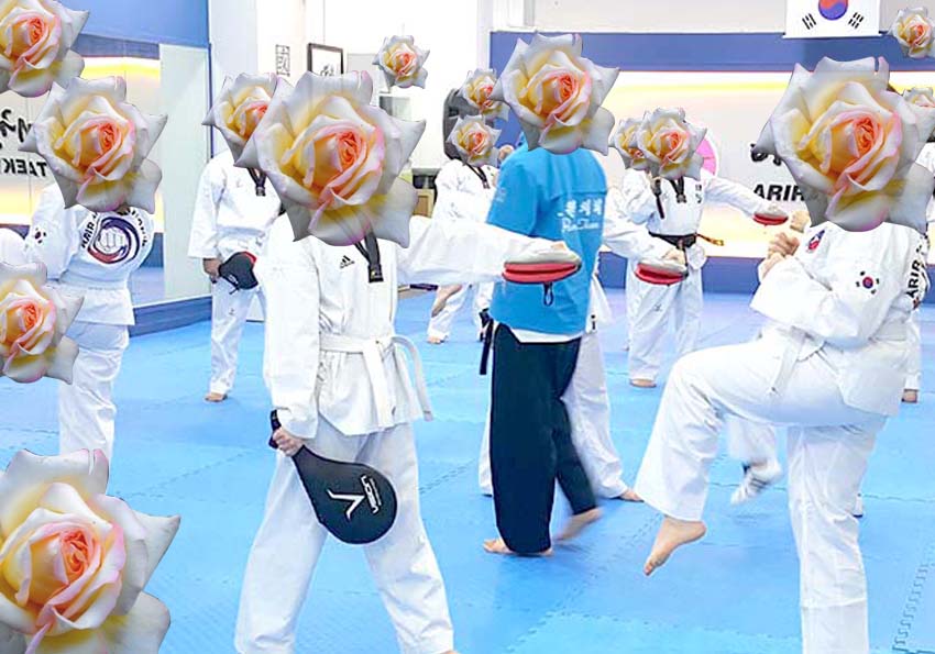 꽃보다 태권도: 장미(Rose)