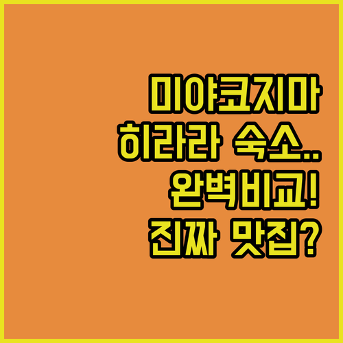 미야코지마 자유여행 히라라 시내 호텔..