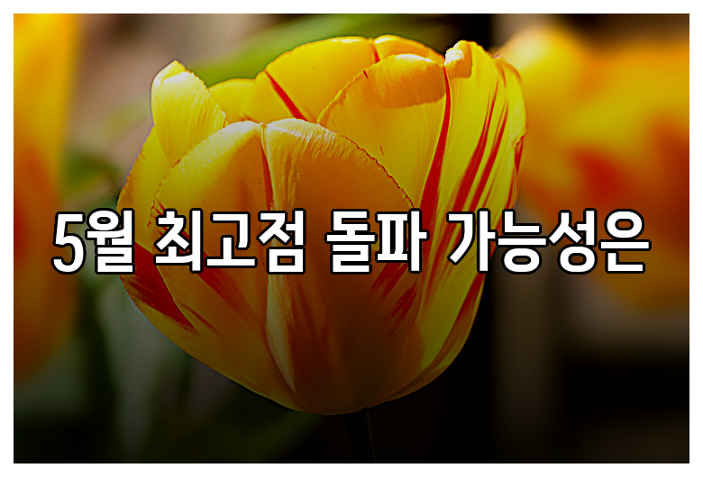 5월 최고점 돌파 가능성은