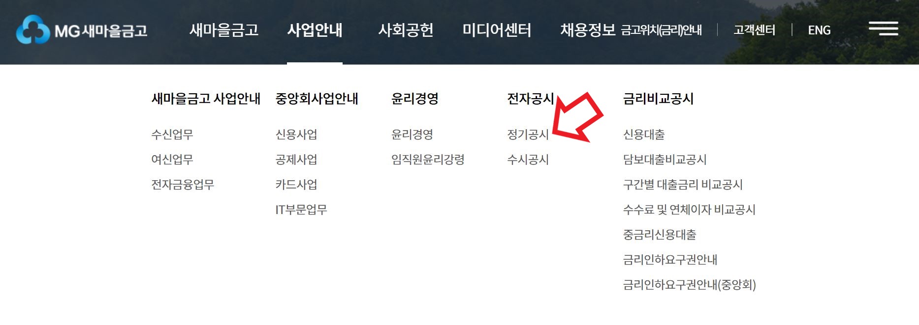 새마을금고 부실