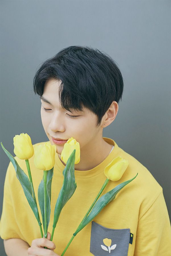 워너원 고화질 사진 워너원 고화질 사진