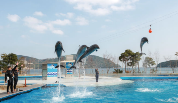 거제 씨월드