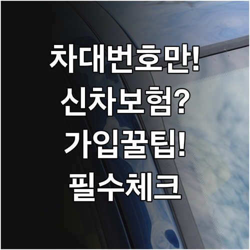 차대번호만 있으면 신차 보험 가입 가..