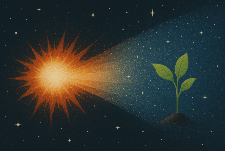 우주의 시작에서 생명