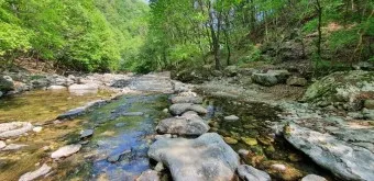 걷기 좋은 명품 숲길 50선 전국 서울 경기_4