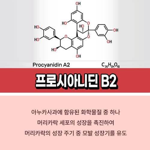 프로시아니딘_B2