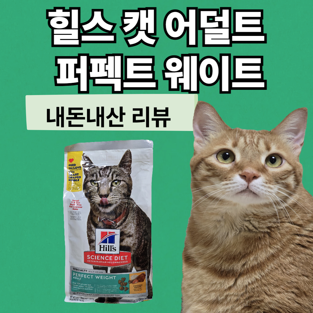 힐스캣퍼팩트웨이트 사료 후기